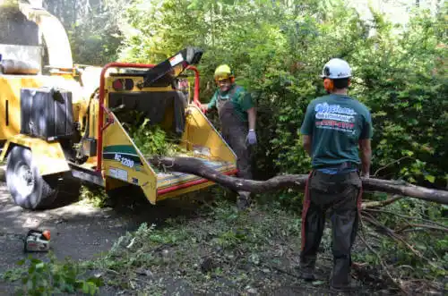 tree services Rome City